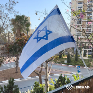 opération Épées de fer